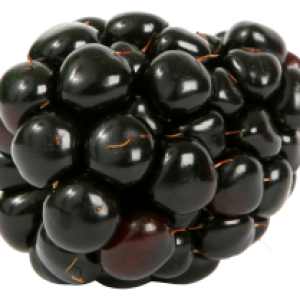 Blackberry PNG