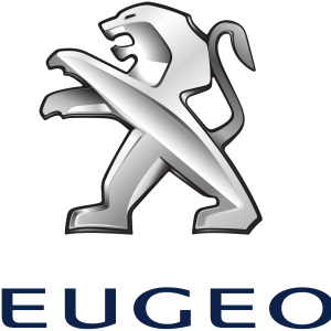 Peugeot PNG