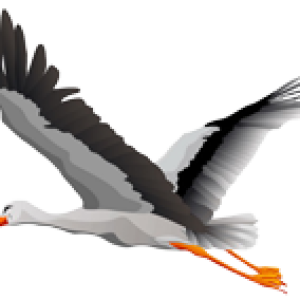 Stork PNG