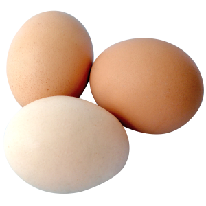 Eggs PNG