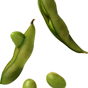 Green bean PNG