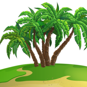 Palm tree PNG