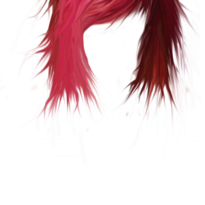 Hair wig PNG