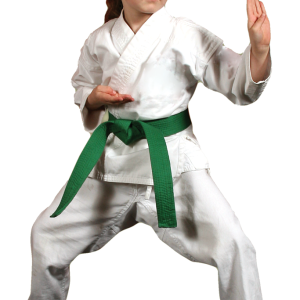 Karate PNG