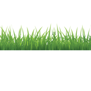 Grass PNG