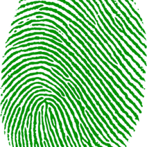 Fingerprint PNG