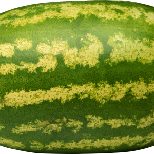 watermelon PNG image