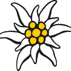 Edelweiss PNG