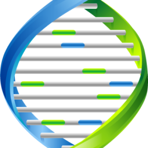 DNA PNG