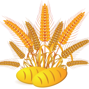 Wheat PNG