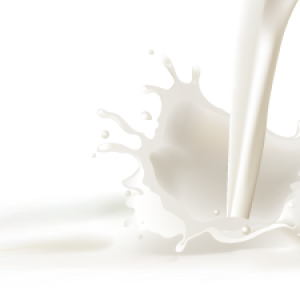 Milk splashes PNG