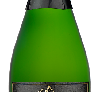 Wine bottle PNG image