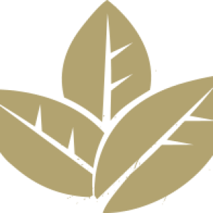 Tobacco PNG