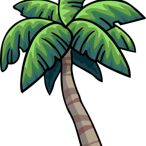 Palm tree PNG