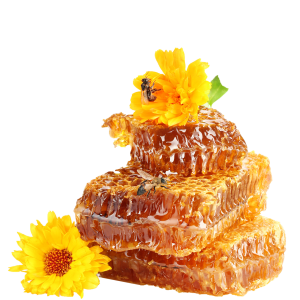 Honey PNG
