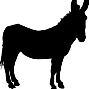 Donkey PNG