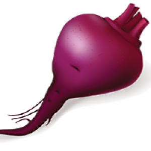 Beet PNG