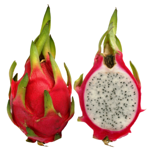 pitaya PNG
