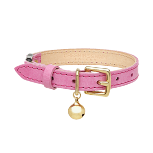 Dog collar PNG
