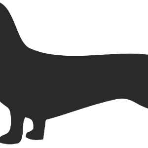 Dachshund PNG