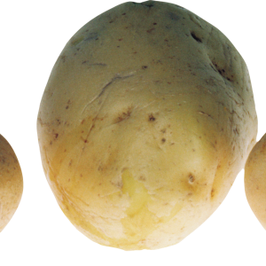 Three potatoes PNG