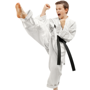 Taekwondo PNG