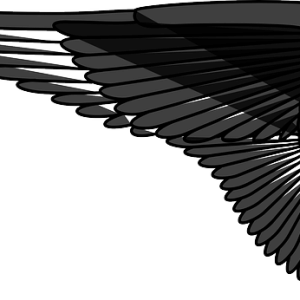 Wings PNG