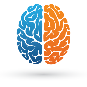 Brain PNG