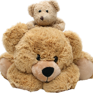 Teddy bear PNG