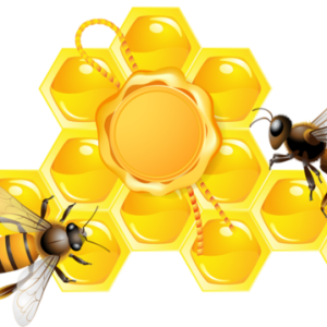 Bee PNG