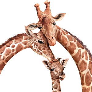 Giraffe PNG