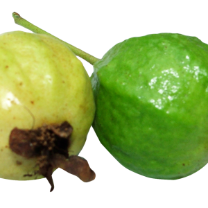 Guava PNG