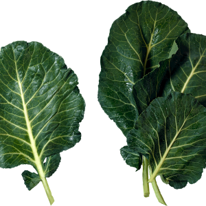 Green salad PNG image