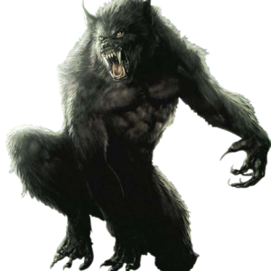 Werewolf PNG