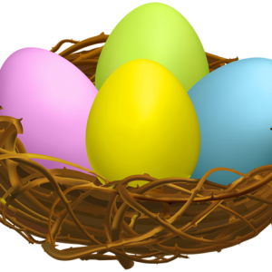 Nest PNG