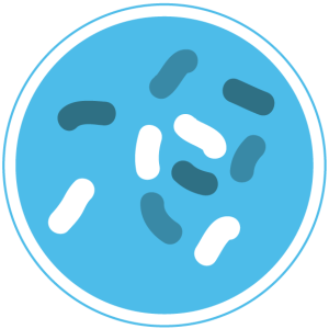 Bacteria PNG