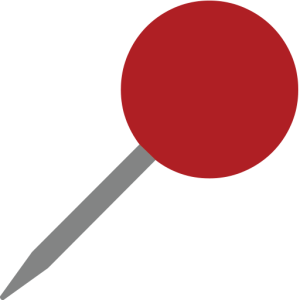 Pin PNG