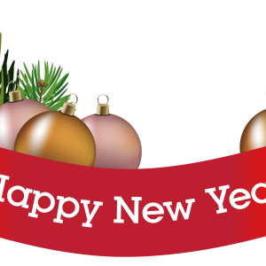New Year PNG
