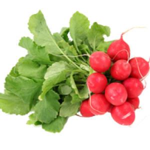 Radish PNG