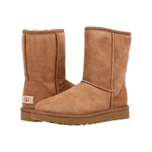 UGG boots PNG
