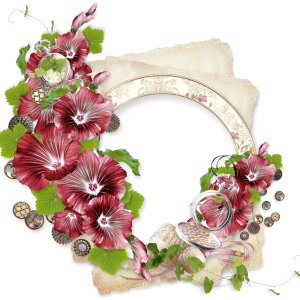 Floral frame PNG