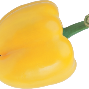 Pepper PNG image