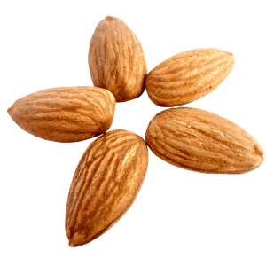 Almond PNG, Almonds PNG