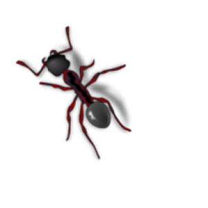 ant PNG