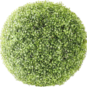 Bush PNG image