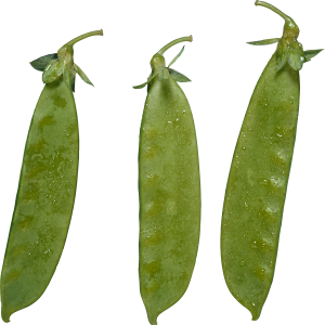 Pea PNG