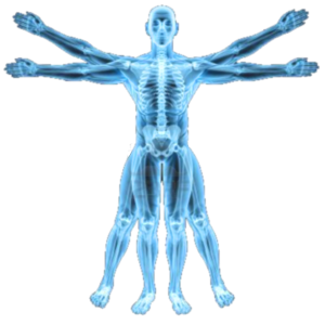 X-rays PNG