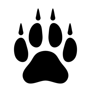 Paw PNG
