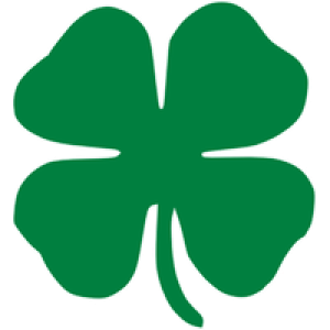 Clover PNG