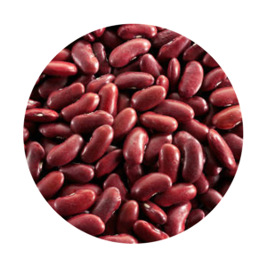Kidney beans PNG
